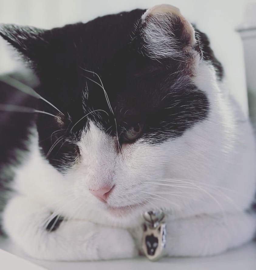Victor